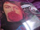 *McCARTNEY/WINGS* RED ROSE SPEEDWAY UK LP *LAMINATED*