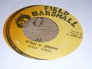Still Cool What A Shame Rare Killer Roots 7
