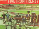 Five Iron Frenzy Miniature Golf Courses Of America 7
