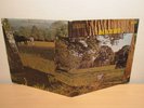 DAYLIGHT s/t 1971 UK ORIGINAL PSYCH PROG FOLK LP M- RCA