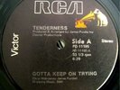 * TENDERNESS Gotta Keep On Trying RARE DISCO SOUL RCA ?