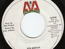 Prince Far I - Yes Joshua - WICKED ROOTS ???