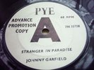 JOHNNY GARFIELD Stranger in Paradise RGM JOE MEEK DEMO