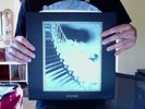 INTEGRITY RARE LP /125 RINGWORM HOLY TERROR CURSED B9