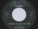 RARE - The Twilighters - Fuzz Punk Monster - Mark VII