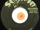 JOHN CLARKE Pollution In City SENRAB Records REGGAE 45