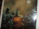 STEELY DAN sealed LP Katy Lied MCA 37043 Black Friday