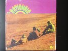 The Rationals LP – 60’s Psych/Garage - Mint Sealed Copy