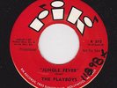 GUITAR INSTR. PLAYBOYS Jungle Fever/Shotgun RIK LISTEN