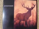 Bergthron - Wotanskult, lim.LP, Burzum, Arckanum