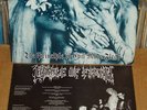 @CRADLE OF FILTH Principle of evil ORIG 1994 LP BURZUM@