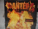 Pantera 