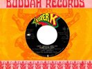 CAPTAIN GROOVY & BUBBLEGUM ARMY 1969 FUZZ PSYCH 45 ?