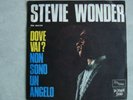 STEVE WONDER DOVE VAI? 45 ITA