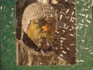SUN RA Nidhamu SATURN SIGNED BY RA, GILMORE & ARKESTRA