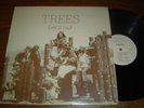 Unusual Private Press Female Folk Duo LP: Trees LISTEN