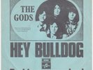 GODS Hey Bulldog RARE freakbeat psych URIAH HEEP LISTEN