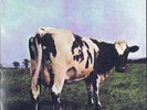 PINK FLOYD Atom Heart Mother MFSL New Sealed USA LP