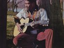 * HORACE ANDY - IN THE LIGHT LP on HUNGRY TOWN *