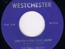 Small Society/Westchester 68 Virginia MN tuff fuzz HEAR