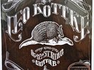Leo Kottke Classic Records 200Gr Quiex SV-P II Vinyl LP