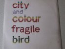 CITY AND COLOUR - Fragile Bird 7