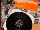DEAD KENNEDYS - FRESH FRUIT FOR ROTTING VEGETABLES / Lp