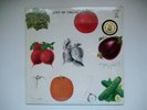 The Best of Cream-Eric Clapton-Atco SD-33-281 SEALED