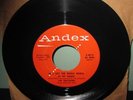 TRAVELERS - Green Town Girl / Whole World 45 ANDEX 1957