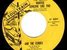 & the ECHOES northern 45 SOUL TRAIN “I’ve Always Wanted