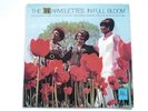 THE MARVELETTES - IN FULL BLOOM - 12