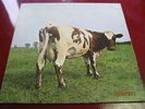 THE PINK FLOYD.'ATOM HEART MOTHER' UK ORIGINAL 1970EX+