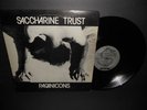 SACCHARINE TRUST LP Paganicons SST Org 1981 N MINT rare