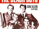 7 45 Beach Boys-Ganz allein Fanclub Edition SURF GER PS