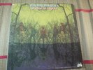 American Blues ( zz top) original LP Do Their Thing