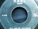 RARE Primitive 45 Bundy Brewster HARL RECORDS G+- VG- T