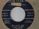 TEXAS C&W/Rockabilly 45/Harry Peppel & Shenandoah Valle