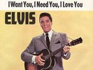 Elvis Single My Baby left me - DEVILCOVER RCA 47-6540