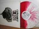 CEREMONY VIOLENCE LP RED/SPLATTER hardcore/have heart/b