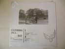 Candida Pax - Day - Vinyl LP - Shadoks Music