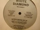 TERRY LEWIS & WILD FLOWER - DISCO RAP 12