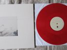 Wild Nothing Golden Haze CLEAR RED VINYL/Beach Fossils