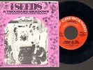 PSYCH 45 PS The Seeds A THOUSAND SHADOWS orig GNP CRESC