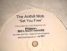THE ANTHILL MOB - SET YOU FREE - RARE - UK GARAGE 12