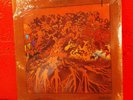 FEVER TREE FOR SALE AMPEX SEALED MINT ORIGINAL PSYCH AC