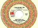 ROGER NICHOLS & SMALL CIRCLE FRIENDS I CAN SEE ONLY YOU