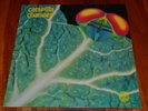 Catapilla -Changes Orginal Vertigo Swirl 6360074 D Prog