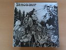dinosaur jr debut lp vinyl homestead records