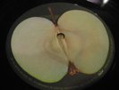 Beatles Record 2 LP White Album  Blank Apple label ERROR rock VG+