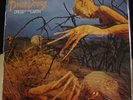 Dixie Dregs - Dregs of the Earth LP - Super Disk SEALED